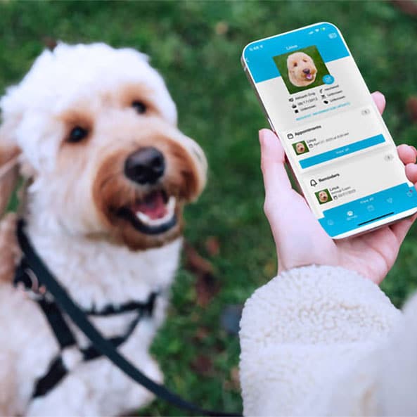 Pet Page App