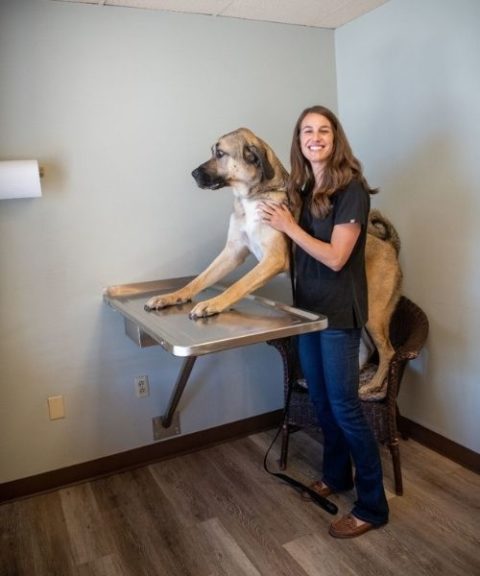 Veterinarian Wenatchee, WA | Cascade Veterinary Clinics