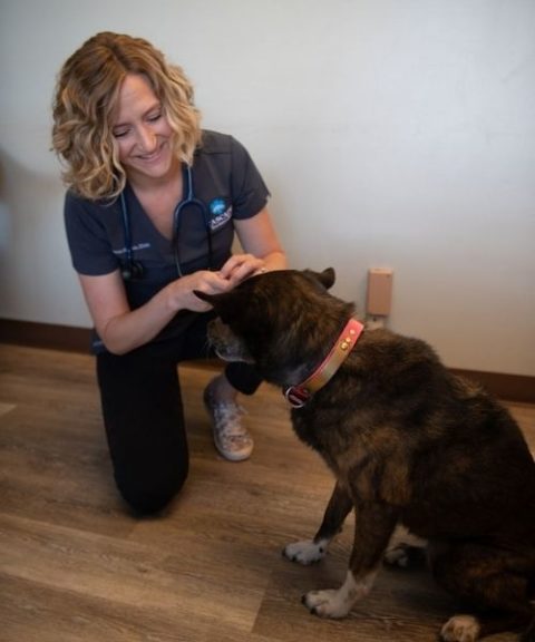 Veterinarian Wenatchee, WA | Cascade Veterinary Clinics