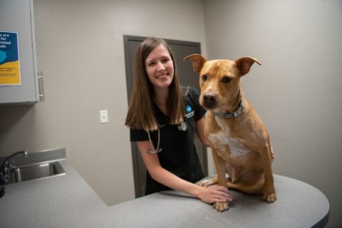 Veterinarian Wenatchee, WA | Cascade Veterinary Clinics