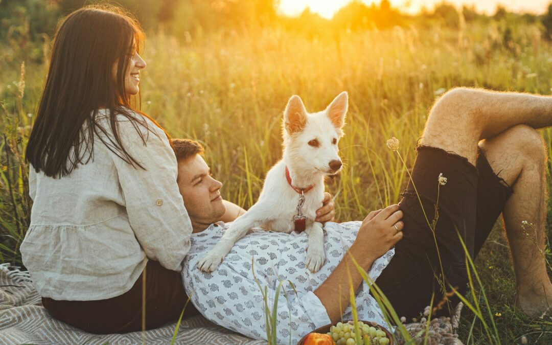 Understanding Bordetella: Protecting Your Pet from Kennel Cough